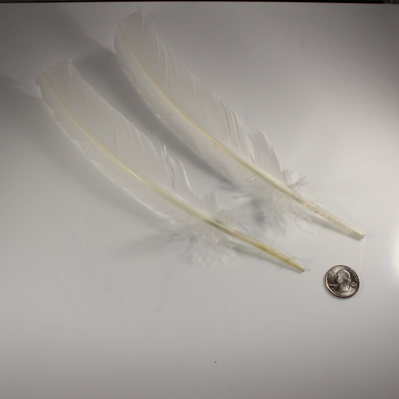 Single White Feather
